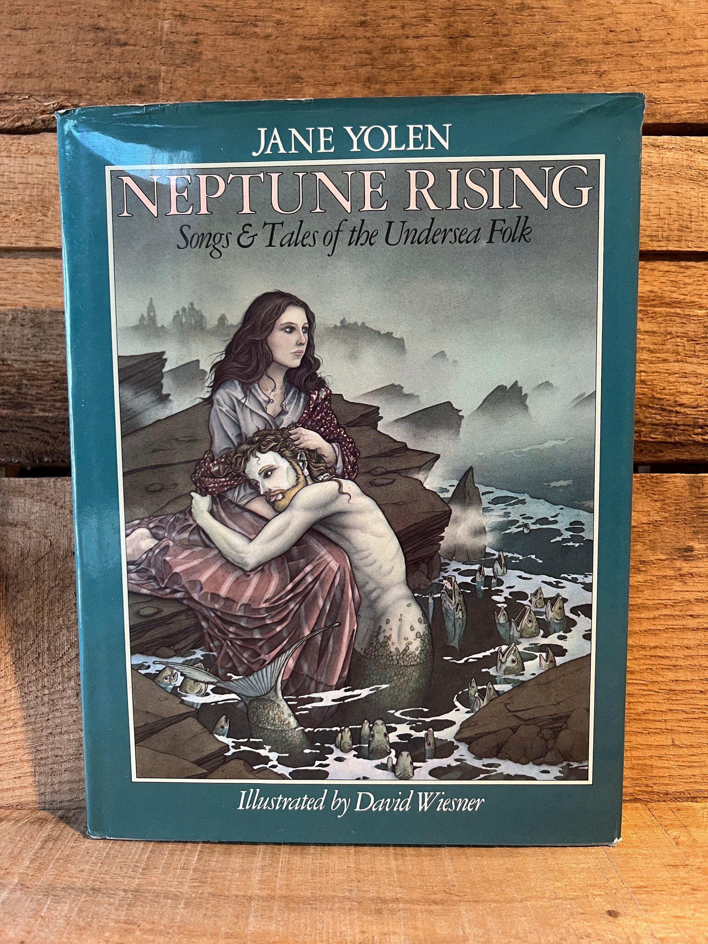 洋書　THE BOOK il_fullxfull.5769065612_60ux.jpg