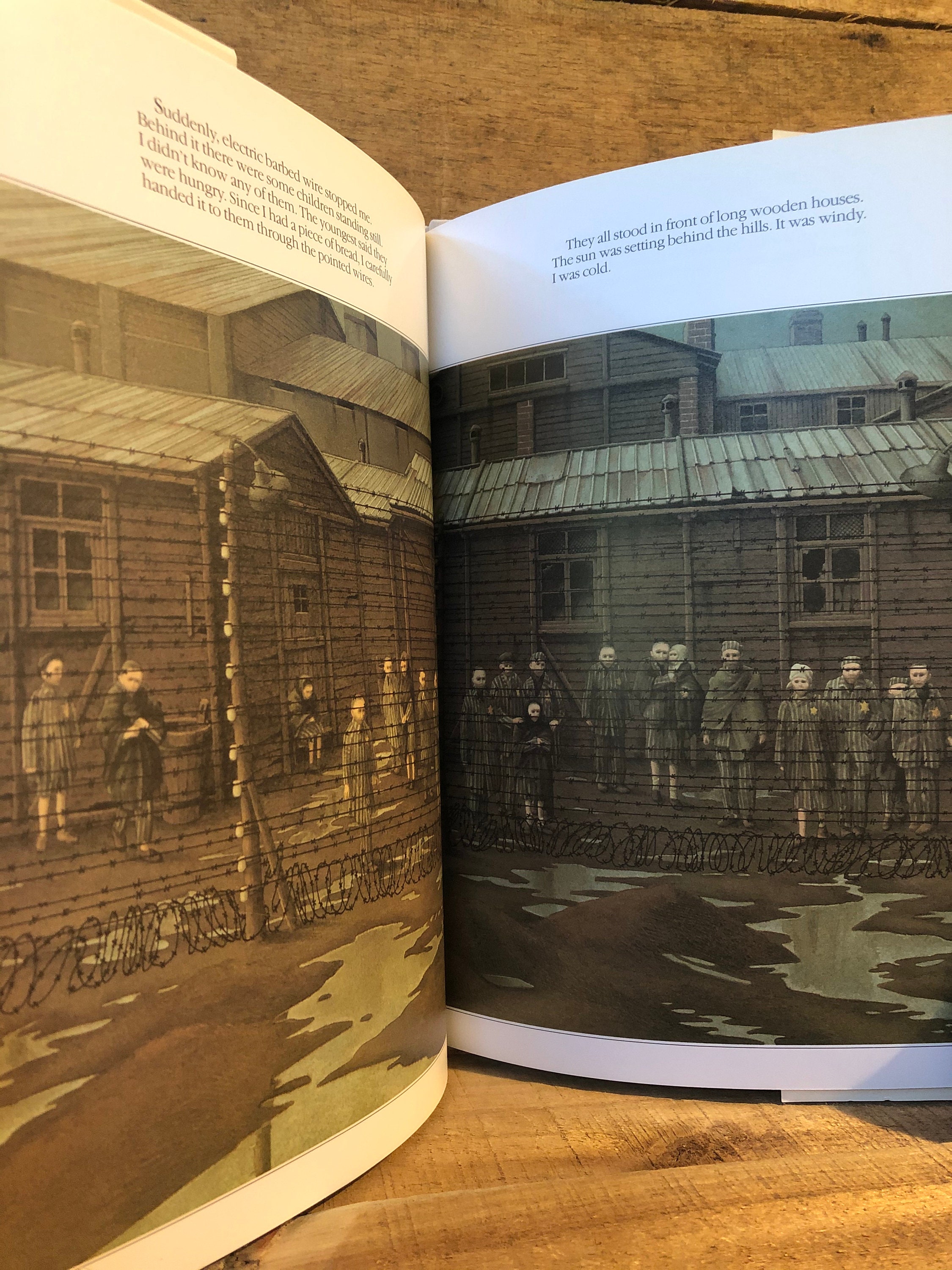 Rose Blanche by Roberto and Innocenti With Dust Jacket 1990 Etsy UK