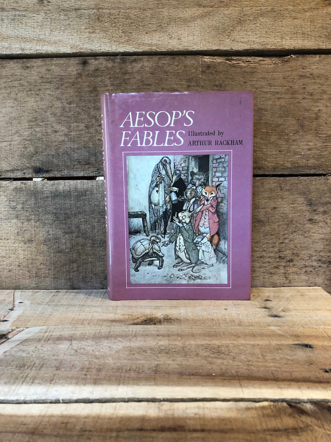 Aesop's Fables, Illustrated by Arthur Rackham: With Dust Jacket - Etsy