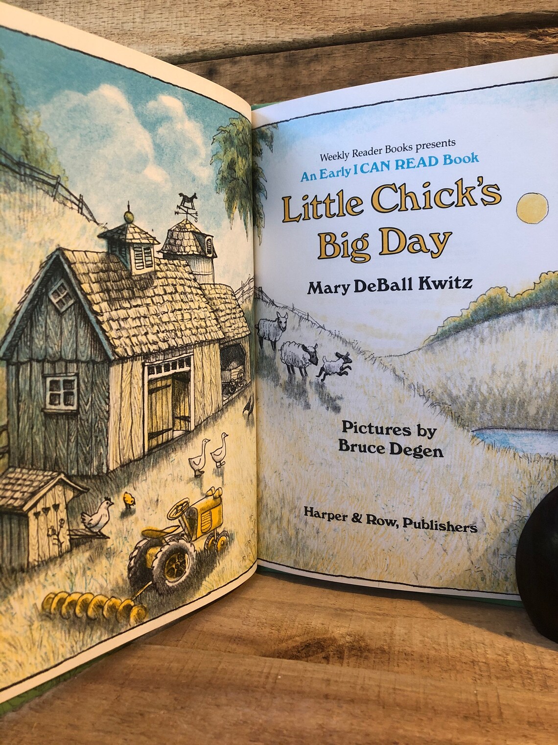 Little Chick's Big Day: An I Can Read Book 1981 First | Etsy