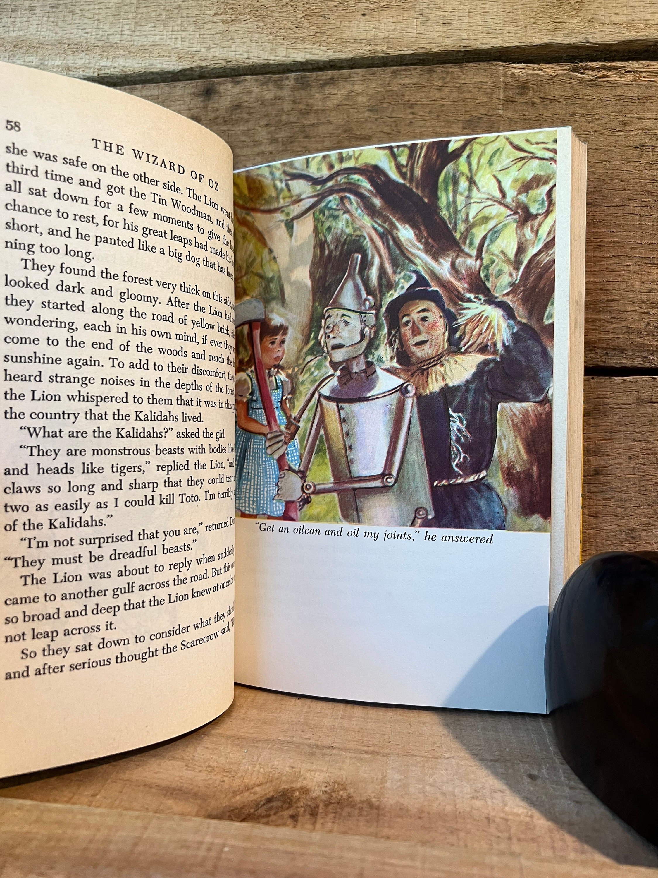 The Wizard of Oz Illustrated Junior Library: With Dust