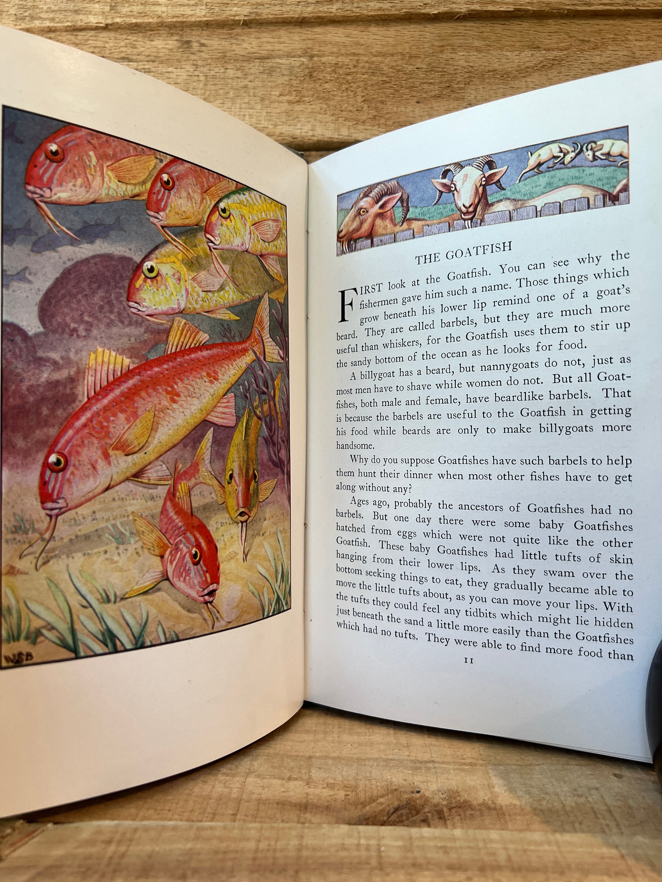 Water People by Wilfrid Swancourt Bronson: Wise Parslow 1935 - Etsy