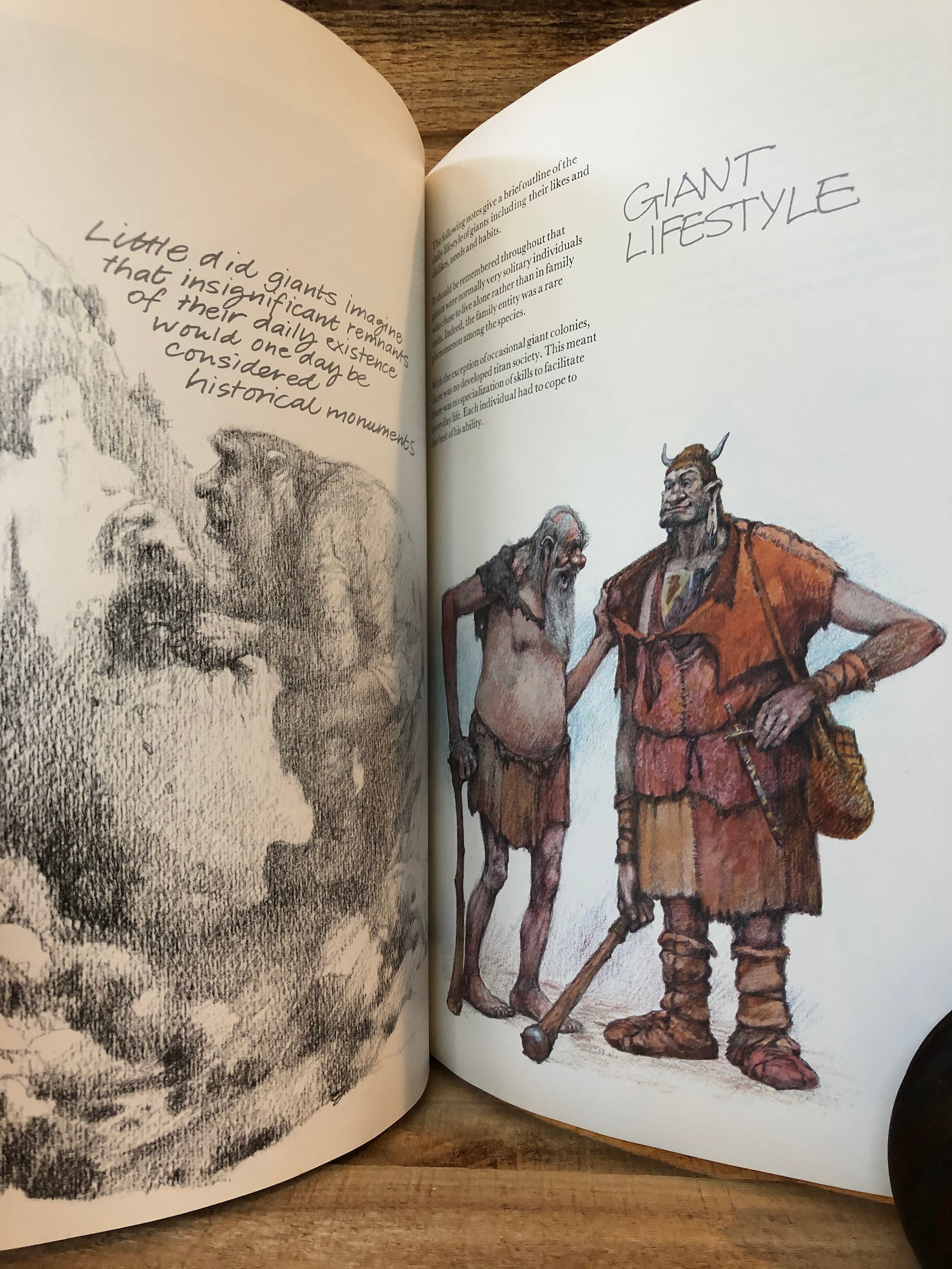 Giants Illustrated by Julek Heller With Dust Jacket 1979 Etsy