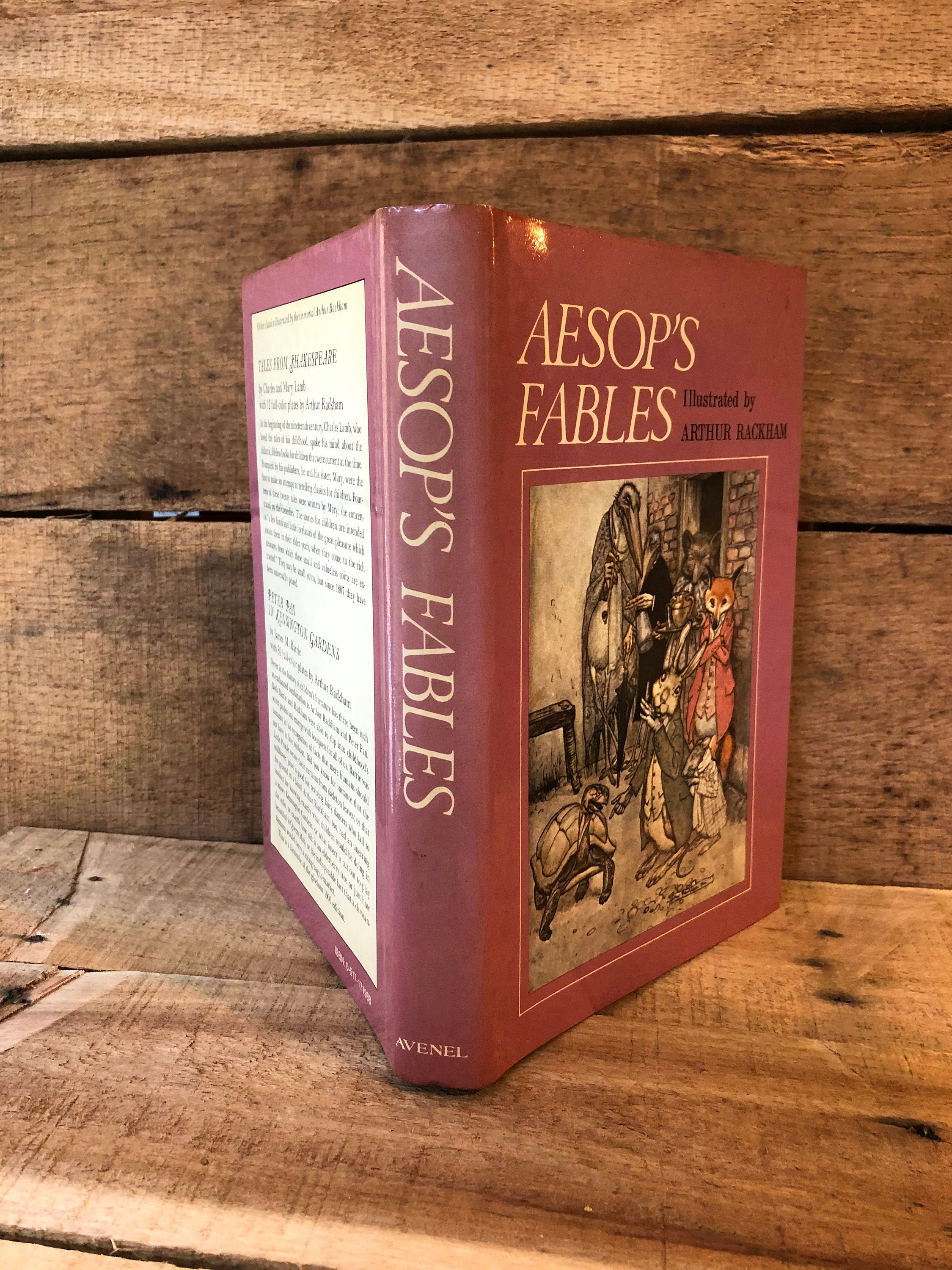 Aesop's Fables, Illustrated by Arthur Rackham: With Dust Jacket - Etsy