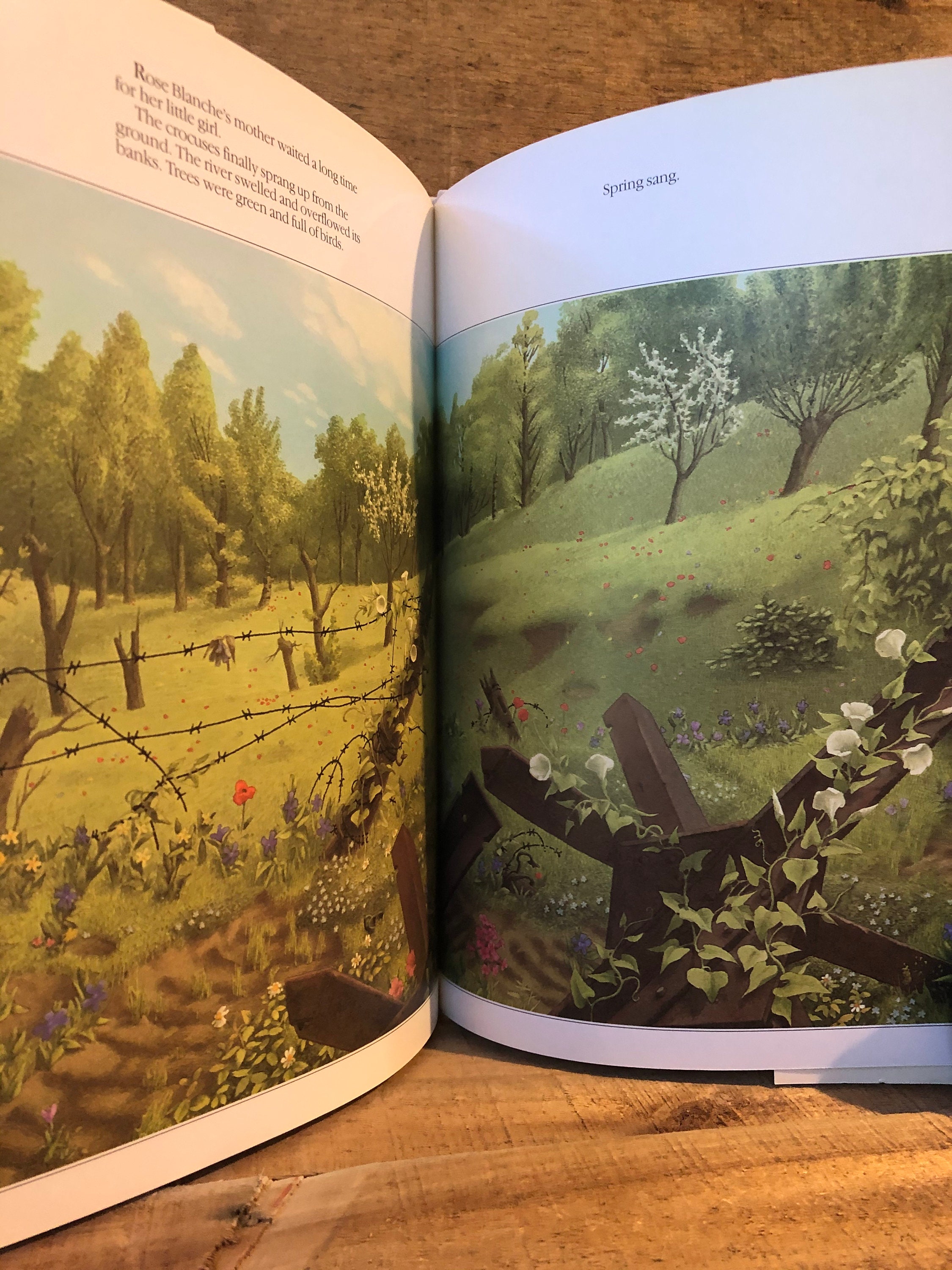 Rose Blanche by Roberto and Innocenti with Dust Jacket 1990 Etsy