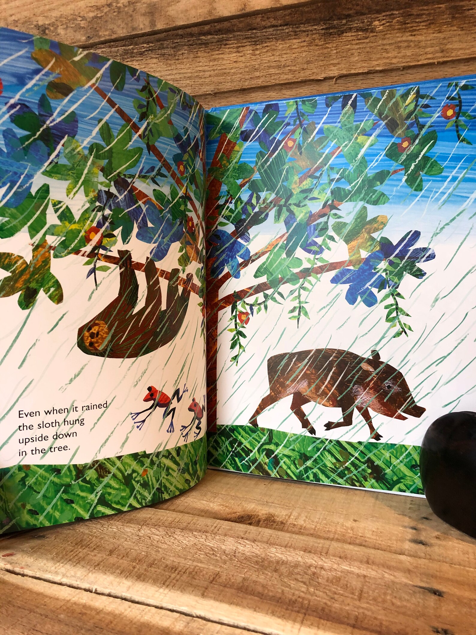 Slowly Slowly Slowly Said the Sloth by Eric Carle: 2002 | Etsy