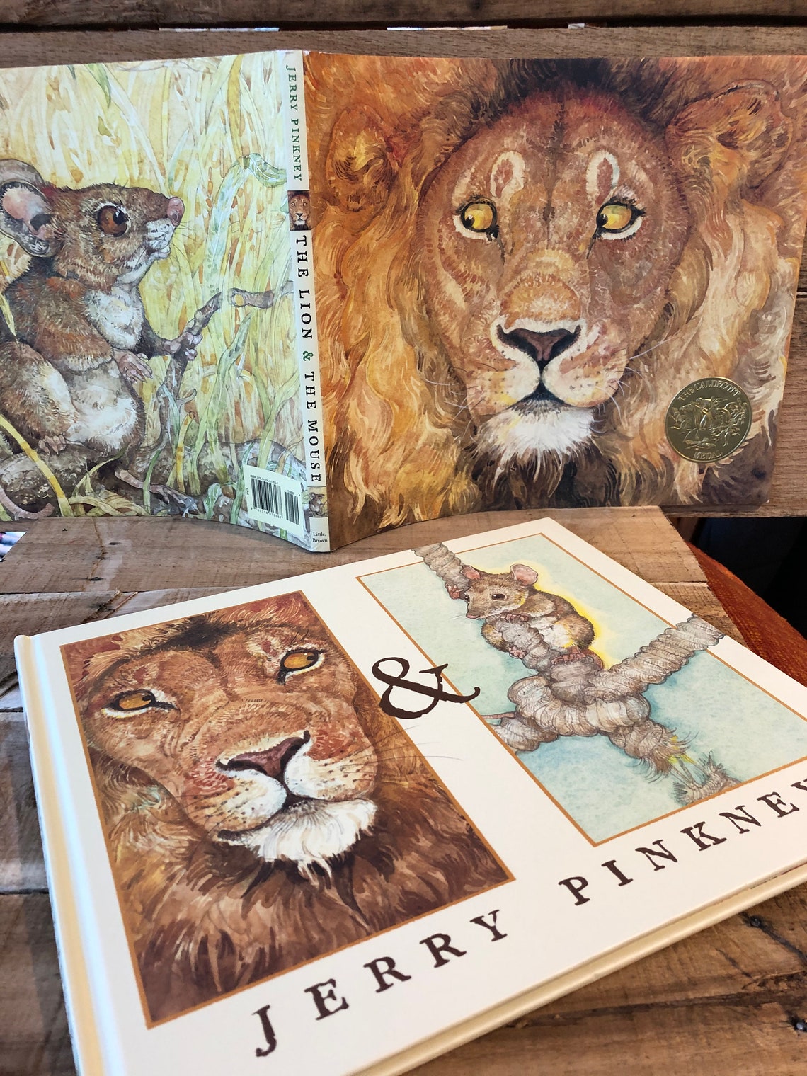The Lion and the Mouse by Jerry Pinkney The Lion and the Mouse by Jerry Pinkney