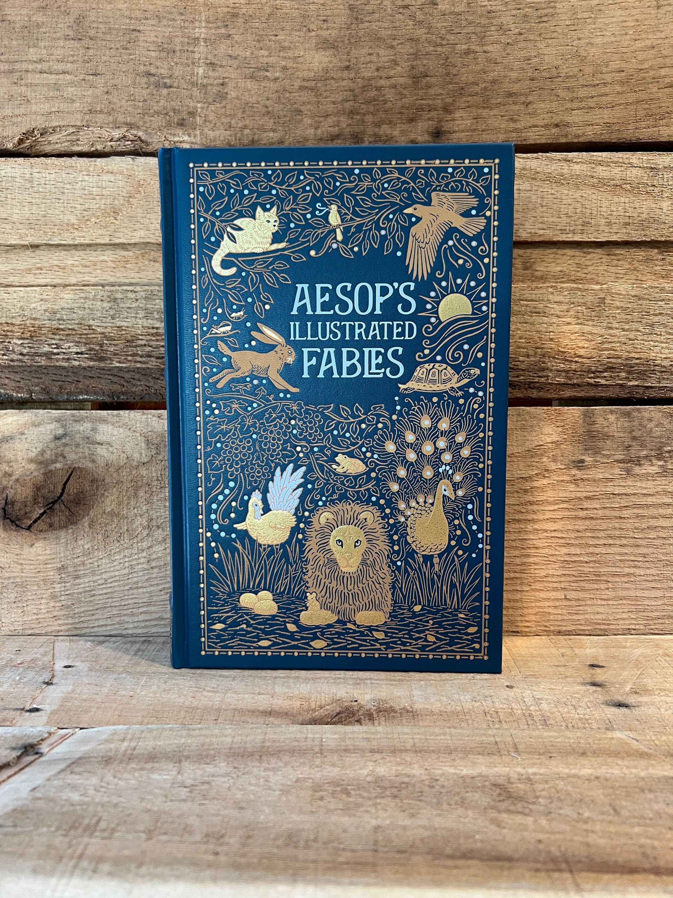 Aesop's Illustrated Fables: Barnes and Noble - Etsy