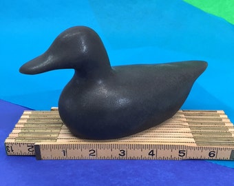 Blackbird Duck