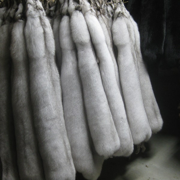 Tanned Blue Fox Hides, Pelts, #1 Quality, Just in from Norway, These do not have Tails