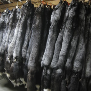 Tanned Silver Fox Hides