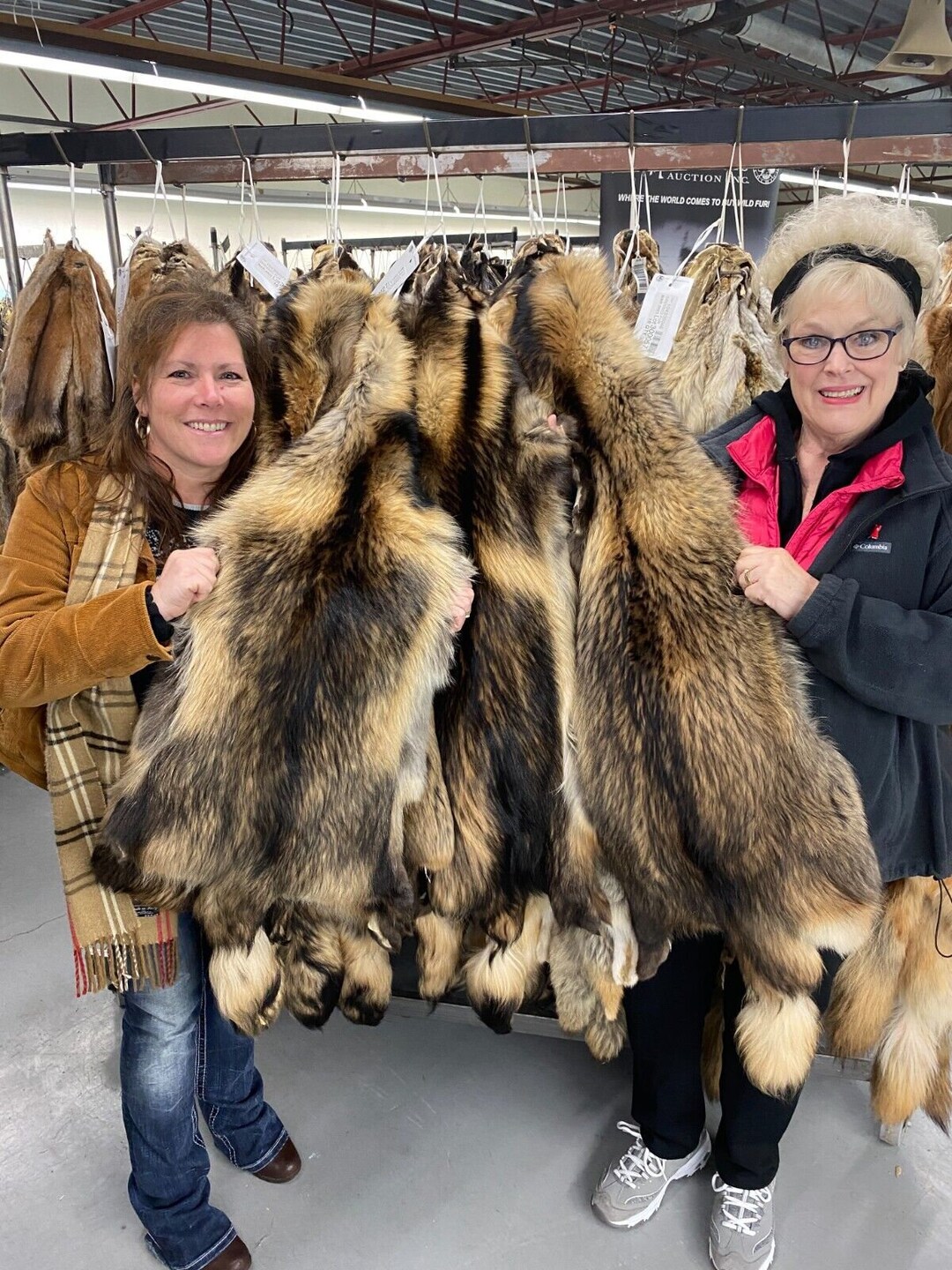 Tanned Tanuki, Finn Coon, Hides Etsy