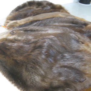 Tanned Beaver (Canadian) Hides / Pelts