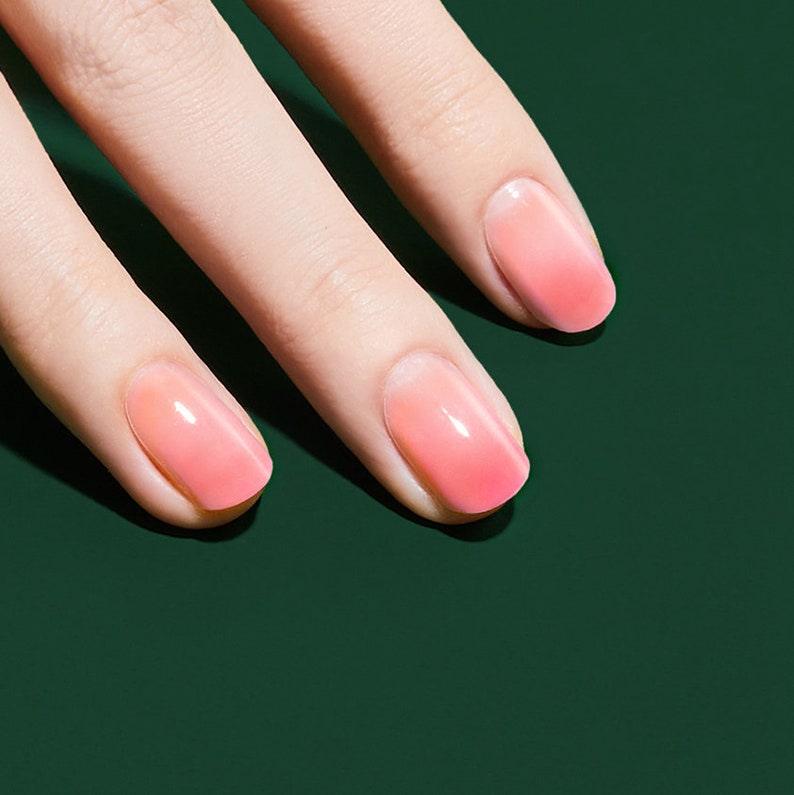 Pink Gradation Nail Art / Pink Ombre / E90901 Nelly / VIKA Etsy