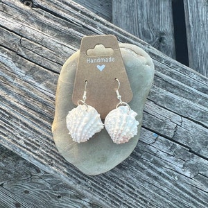 Shell Earrings
