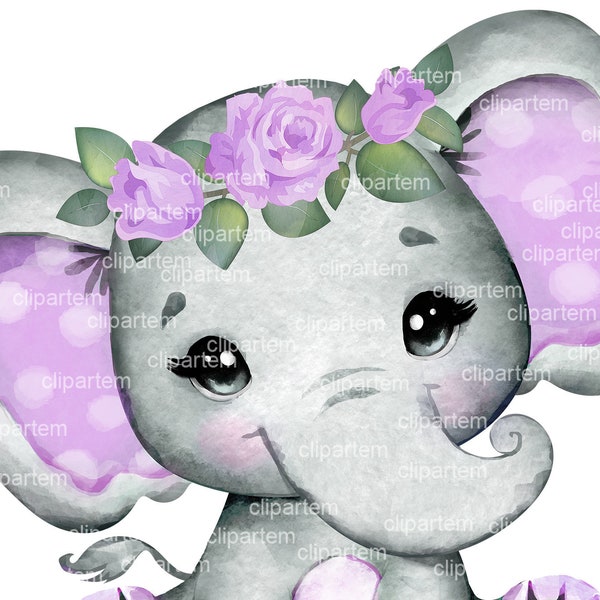 Purple Floral elephant clip art, watercolor cute little peanut,lavender polka ears hairband commercial use baby shower sublimation animal