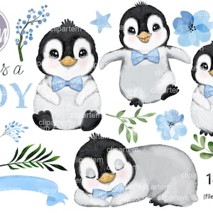 Chłopiec Pingwin 18 PNG clipart akwarela pakiet, kokarda z muszką, pingwin zestaw na baby shower, dekoracje urodzinowe pingwina, słodkie dziecko pingwin