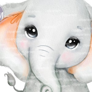 Elefante unissex laranja, bebê elefante neutro em aquarela com orelhas e barriga laranja para chá de bebê, aniversário, sublimação, decoração