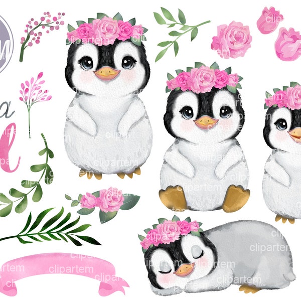 Essential Girl Penguin Bundle set 18 PNG clip art, super cute little baby girl penguin with flowers, pink roses, baby shower, birthday decor