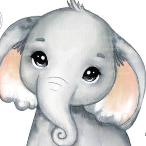 Aquarel olifant illustraties, heel schattige kleine pinda, genderneutraal, uniseks babyolifant, commercieel gebruik, babyshower, Afrikaans dier