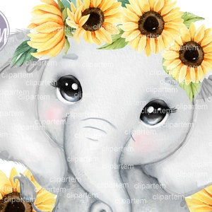 Elephant with Sunflowers gray girl elephant with floral crown, yellow baby girl elephant decor, sublimation image transfer table fabrics png