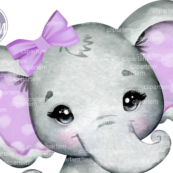 Purple girl elephant clip art, watercolor very cute little peanut,lavender polka ears bow commercial usage baby shower sublimation animal