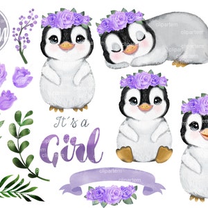 Conjunto de imágenes prediseñadas de pingüino morado, 18 imágenes prediseñadas de acuarela, corona floral, pingüino bebé para baby shower, cumpleaños, imagen de transferencia por sublimación PNG