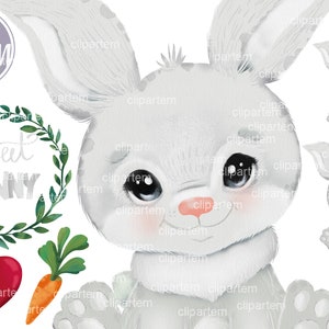 Baby Bunny Rabbit Sundle PNG sublimacja, króliczek z koszykiem, marchewka, serce, rustykalny