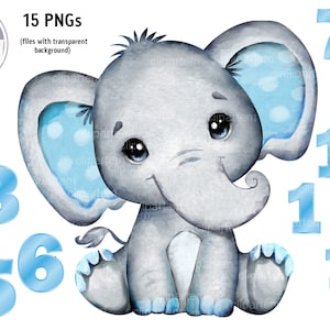 Clip art de elefante para niño de 1 a 12 meses, sublimación, diseño de número de manta de bebé con hito mensual de niño azul, imagen de número de reloj de pared con elefante