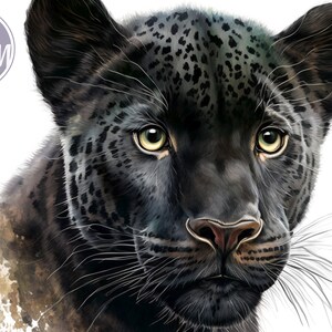 Black Panther Cub Digital Print Digital Print, Instant Download, Printable  Art, Wall Decor 