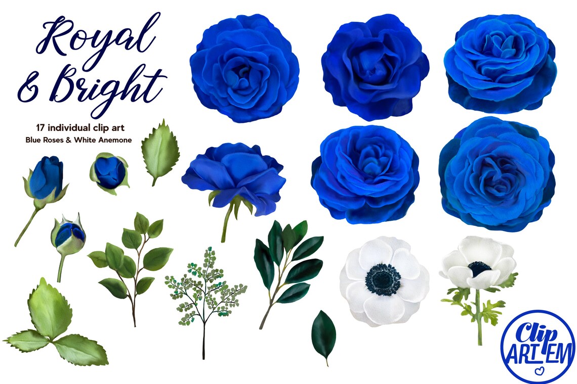 Blue Roses Watercolor Royal Blue Flowers White Anemone for Etsy