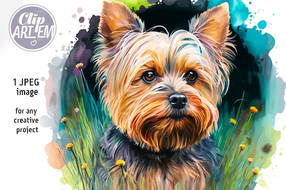 Yorkies & Their Cute Ears: All You Need to Know • Yorkies Gram