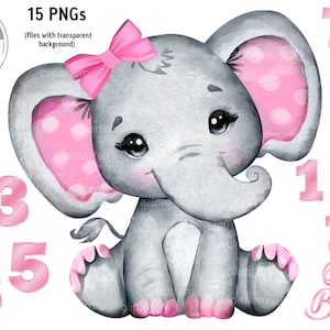 Mädchen Elefant 1 bis 12 Monat Rosa rosa Aquarell Clip Art, Babydecke design, Monatsbild, Baby wächst Diagramm, Bild, Geburtstag, dusche