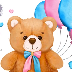 Rosa blauer Baby-Bär mit Luftballons, Geschlecht enthüllen Teddybär, Unisex-Babyparty. Jungen oder Mädchen Babybild rosa Ballonbild und blaues Ballonbild
