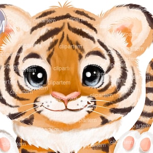 Imágenes prediseñadas de acuarela de tigre bebé, pequeño tigre lindo de género neutro, tigre niño, tigre niña, tigre chino, año nuevo, sublimación PNG de animales