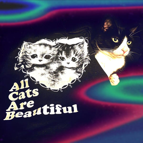 Tous les chats sont beaux - T-shirt classique - Chaînes de nuit