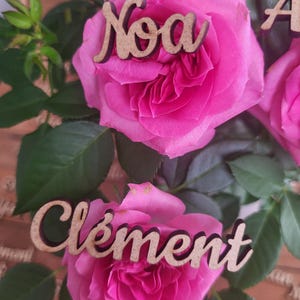 Wooden or colored place markers. 5 fonts available. Guests, First names, Wedding, Baptism, Communion, Family, table, plan, Decoration,