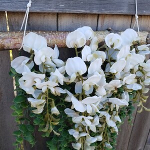May include: A white floral garland with green leaves hanging from a wooden branch. The garland is made of artificial flowers and is perfect for decorating a home or event.