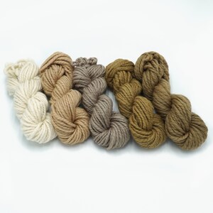 May include: Four skeins of yarn in various shades of brown, from white to dark brown. The yarn is arranged in a row, with the lightest shade on the left and the darkest shade on the right.