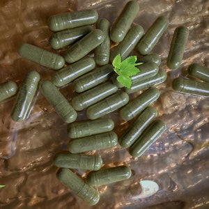 100% Pure Organic Brahmi Capsules (Gotu Kola). Zero Fillers, Zero GMOs. 94 Capsules