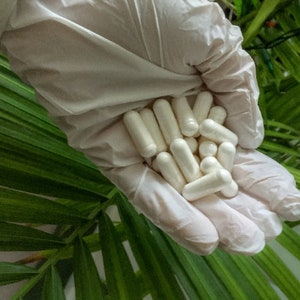 Puede incluir: Una mano enguantada sostiene un mont&oacute;n de c&aacute;psulas blancas. Las c&aacute;psulas est&aacute;n dispuestas en un mont&oacute;n suelto, con algunas superpuestas. La mano lleva un guante blanco y el fondo es una planta verde.