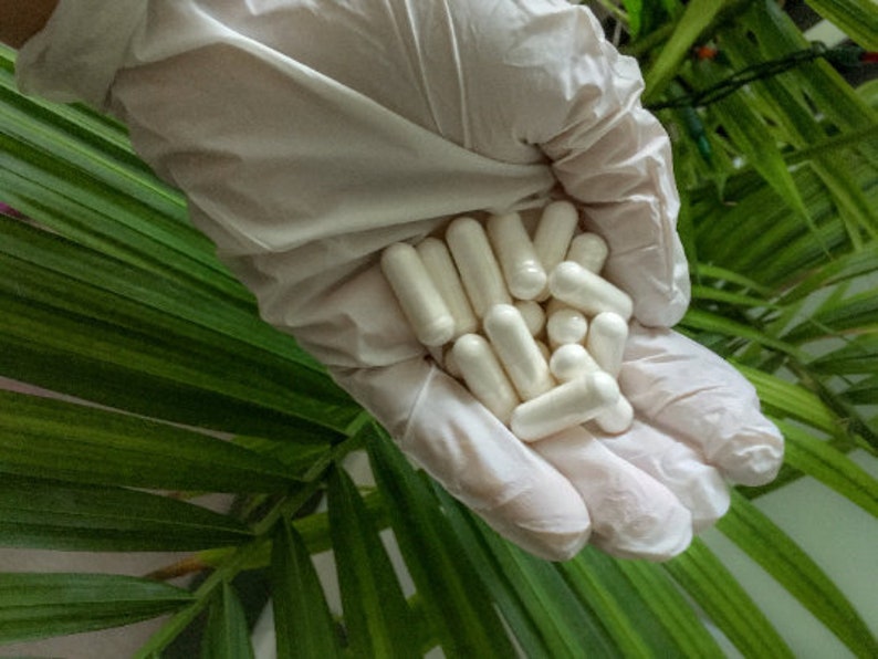 Puede incluir: Una mano enguantada sostiene un mont&oacute;n de c&aacute;psulas blancas. Las c&aacute;psulas est&aacute;n dispuestas en un mont&oacute;n suelto, con algunas superpuestas. La mano lleva un guante blanco y el fondo es una planta verde.