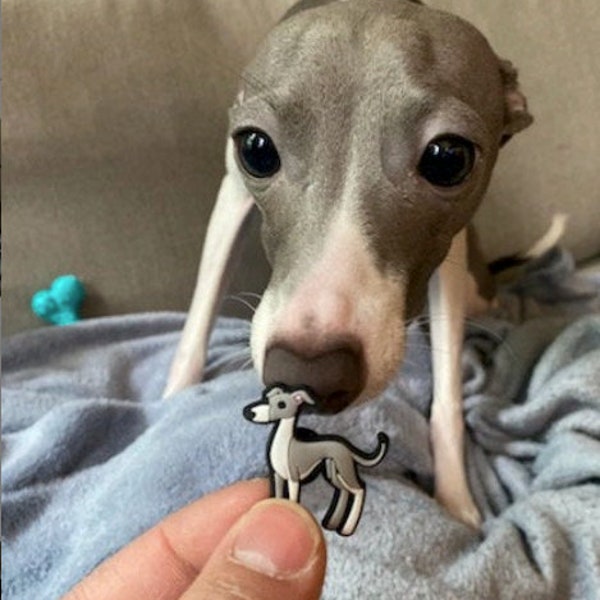 Blue,Beige. & Black Italian Greyhound Shoe Charms