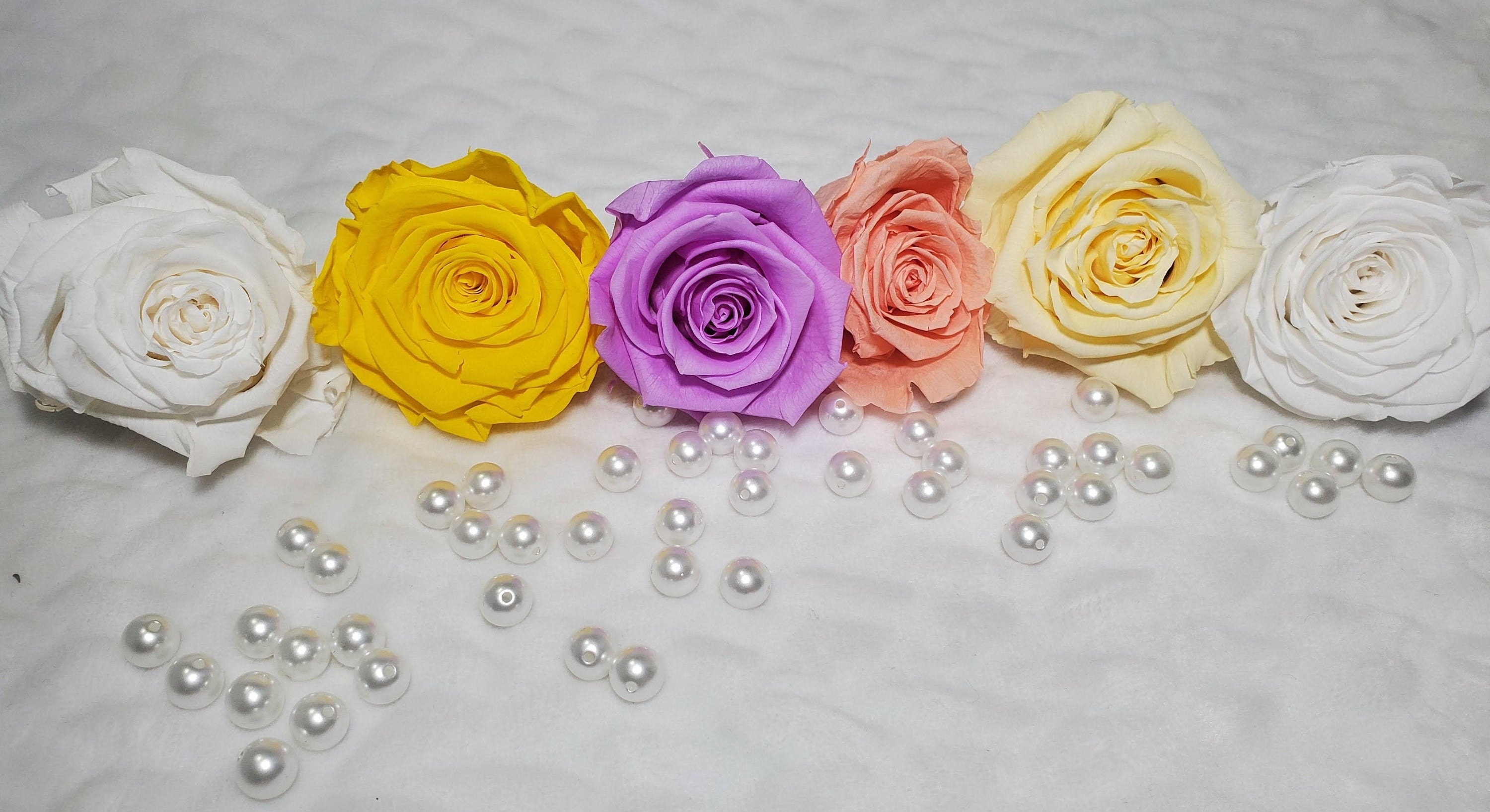 Everlasting Rose Forever Rose Real Preserved Rose in acrylic Etsy