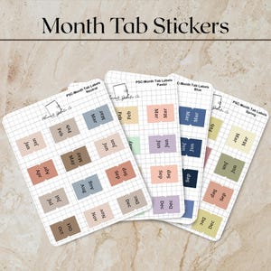 May include: Four sheets of grid-patterned stickers labeled Month Tab Stickers. Each sheet contains pairs of month names in various colors, including neutral, pastel, blue, and spring tones. The text PSC-Month Tab Labels is printed on each sheet.