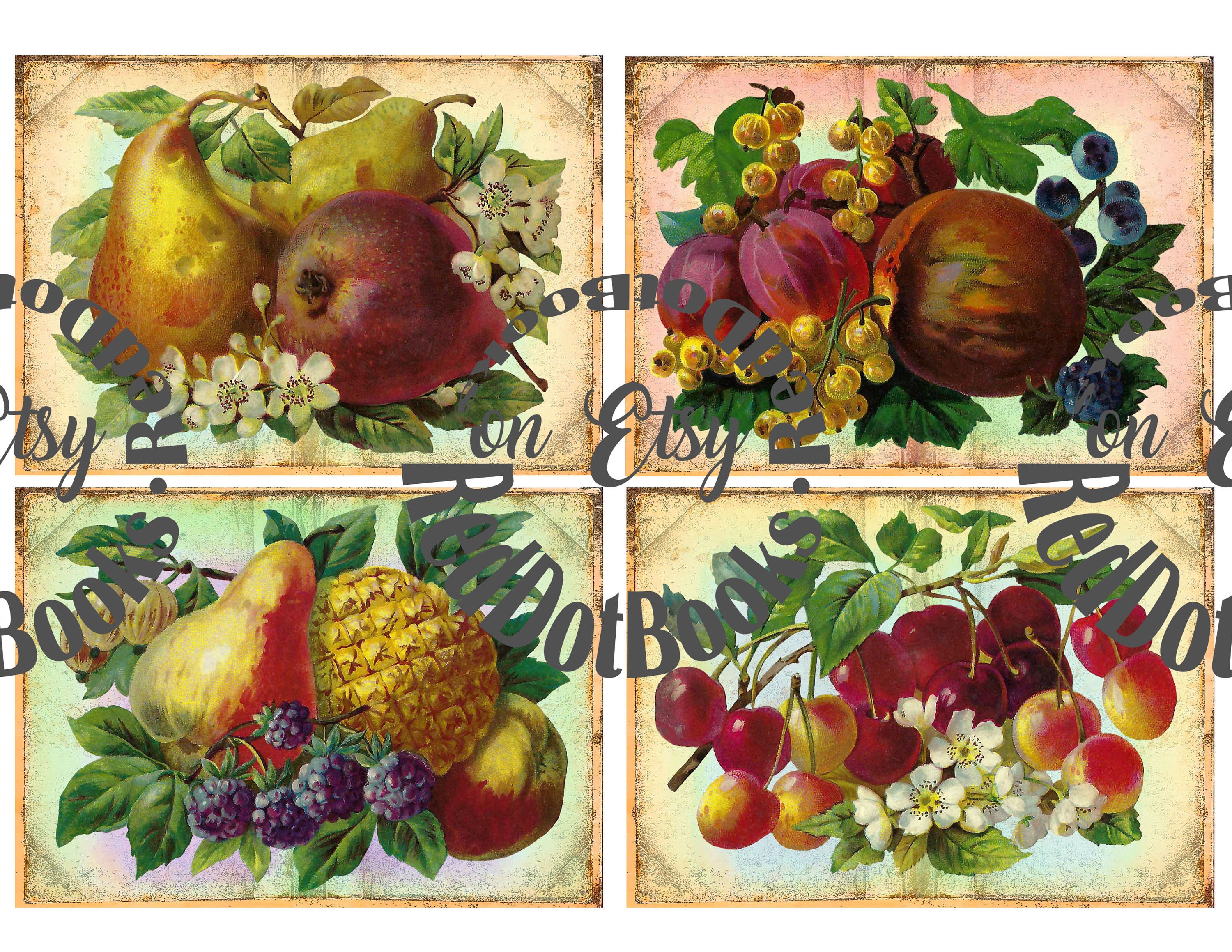 Rare Vintage Fruit Journal Cards Printable / Digital Etsy Hong Kong