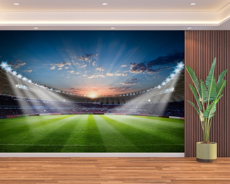 Football Stadium Mural Wall Art & Wallpaper Modern Football Etsy