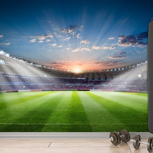 Football Stadium Mural Wall Art & Wallpaper Modern Football Soccer Field Sport Peel and Stick Wall Mural Decor Home Room Gym