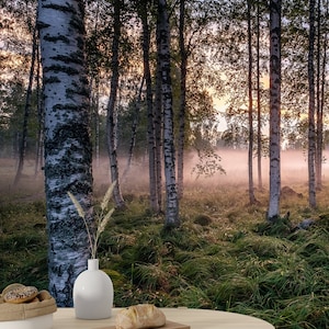 Papier peint forêt de bouleaux forêt brumeuse nature et paysage moderne forêt autocollant autoadhésif