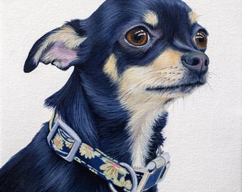 Chihuahua huisdier portret origineel olieverfschilderij